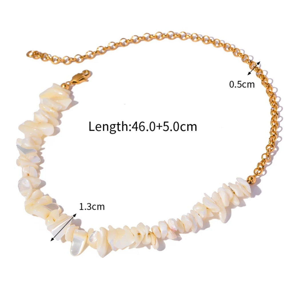 Natural Shell Necklace